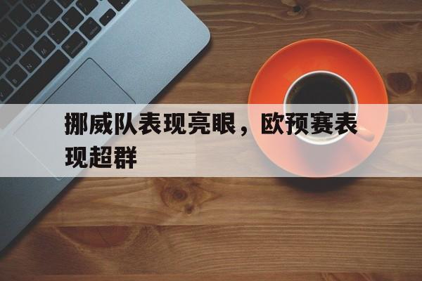 挪威队表现亮眼，欧预赛表现超群()