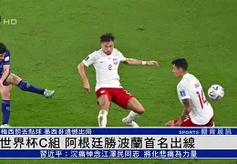 瑞士击败意大利夺得小组第一晋级淘汰赛()