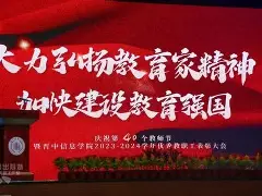 新晋之星闪耀舞台，带领球队轻取对手()