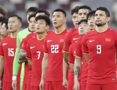 国家队凭借欧国联实力，积极备战欧锦赛战役()